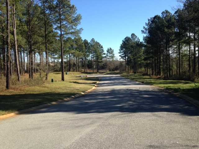 339 Redstone Way, Columbia, SC 29212