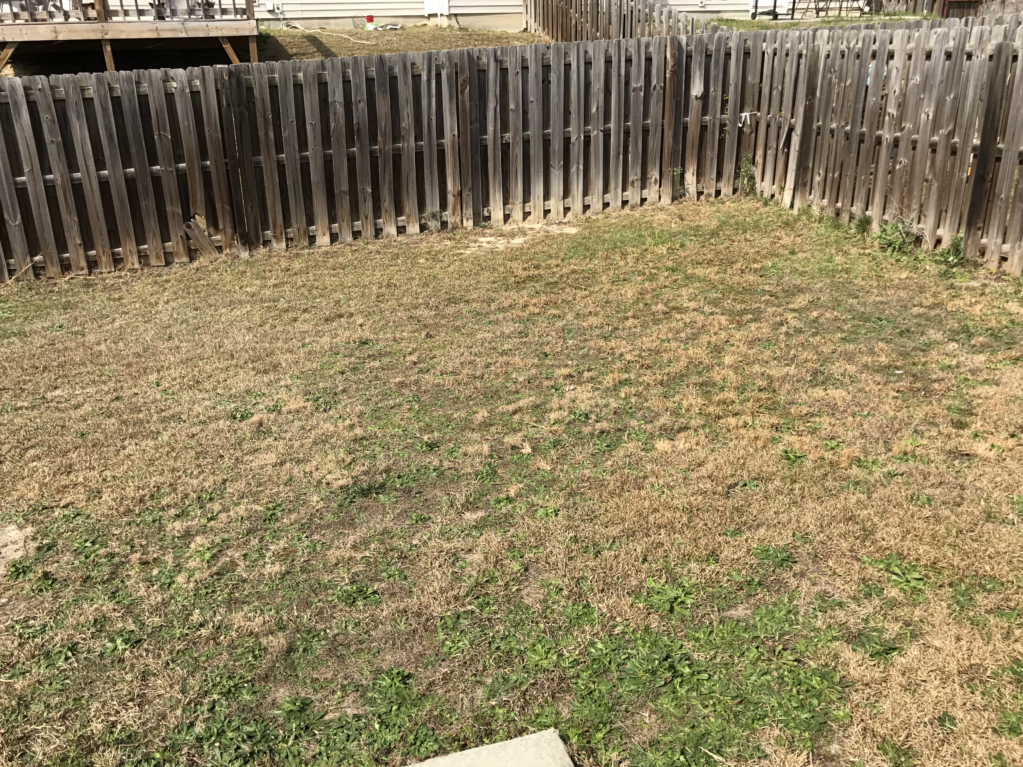 334 Windsor Brook RdColumbia, SC, 29223Richland County