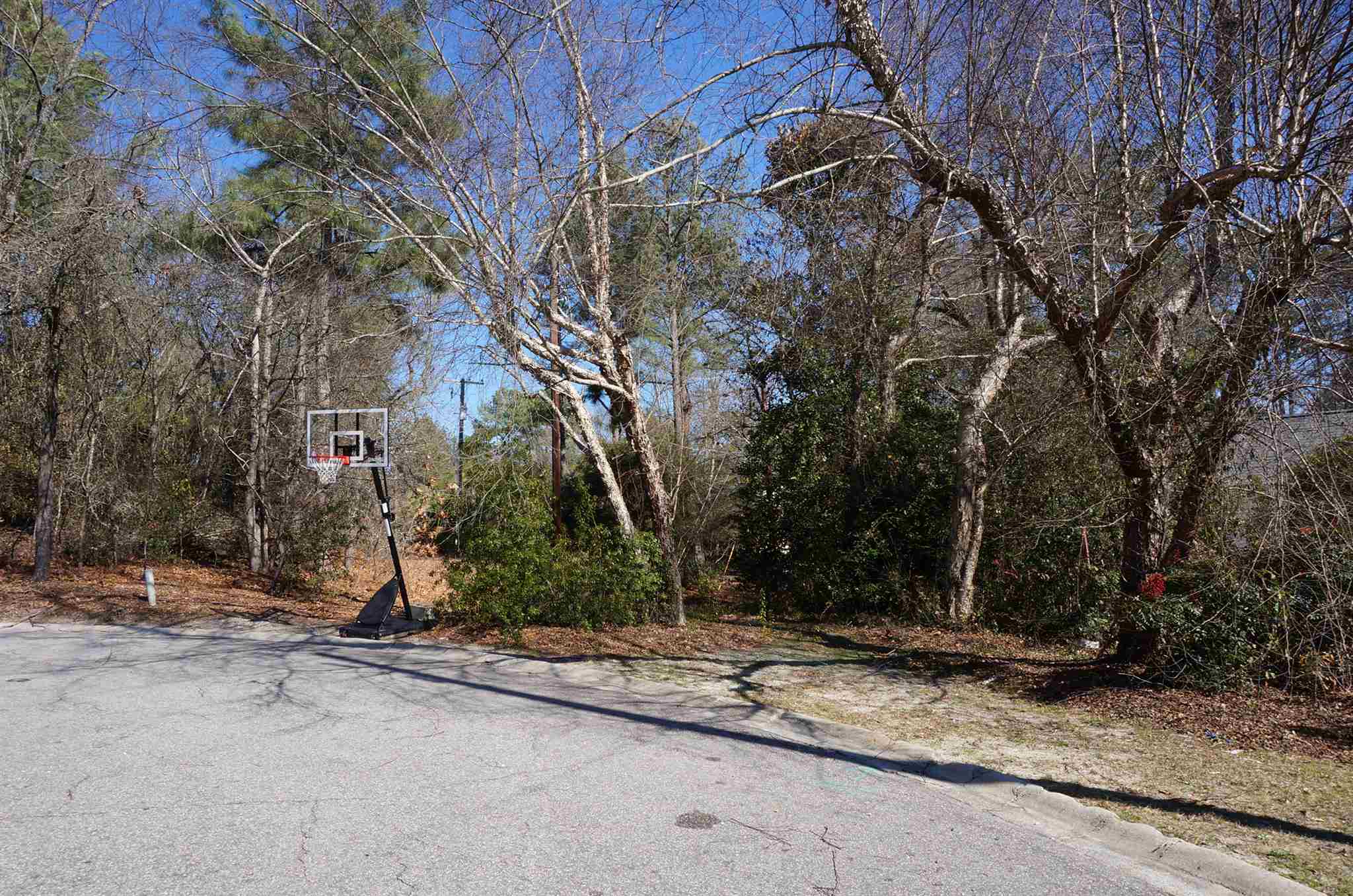 130 Southlake Court, Columbia, SC 29223