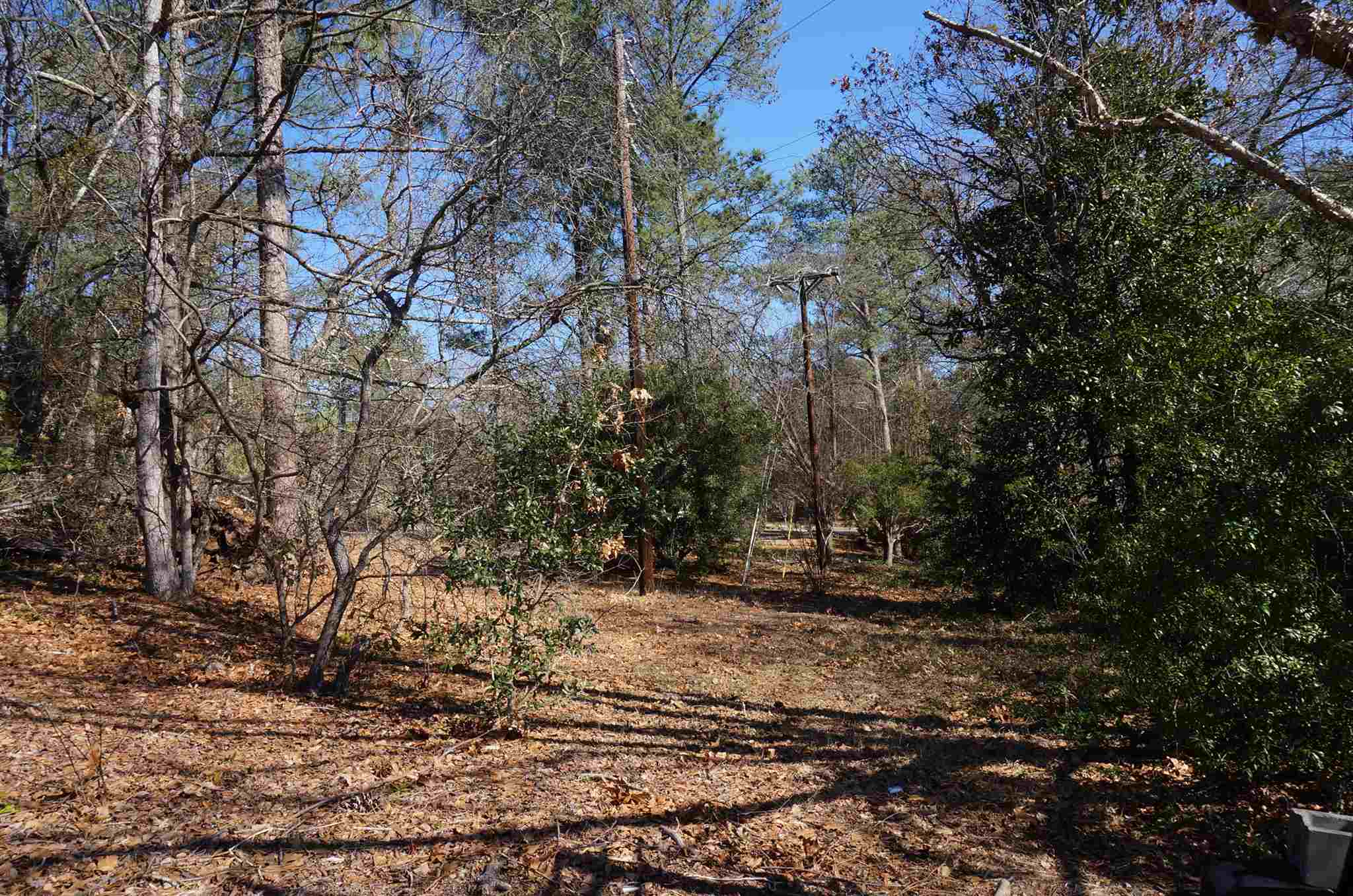 130 Southlake Court, Columbia, SC 29223