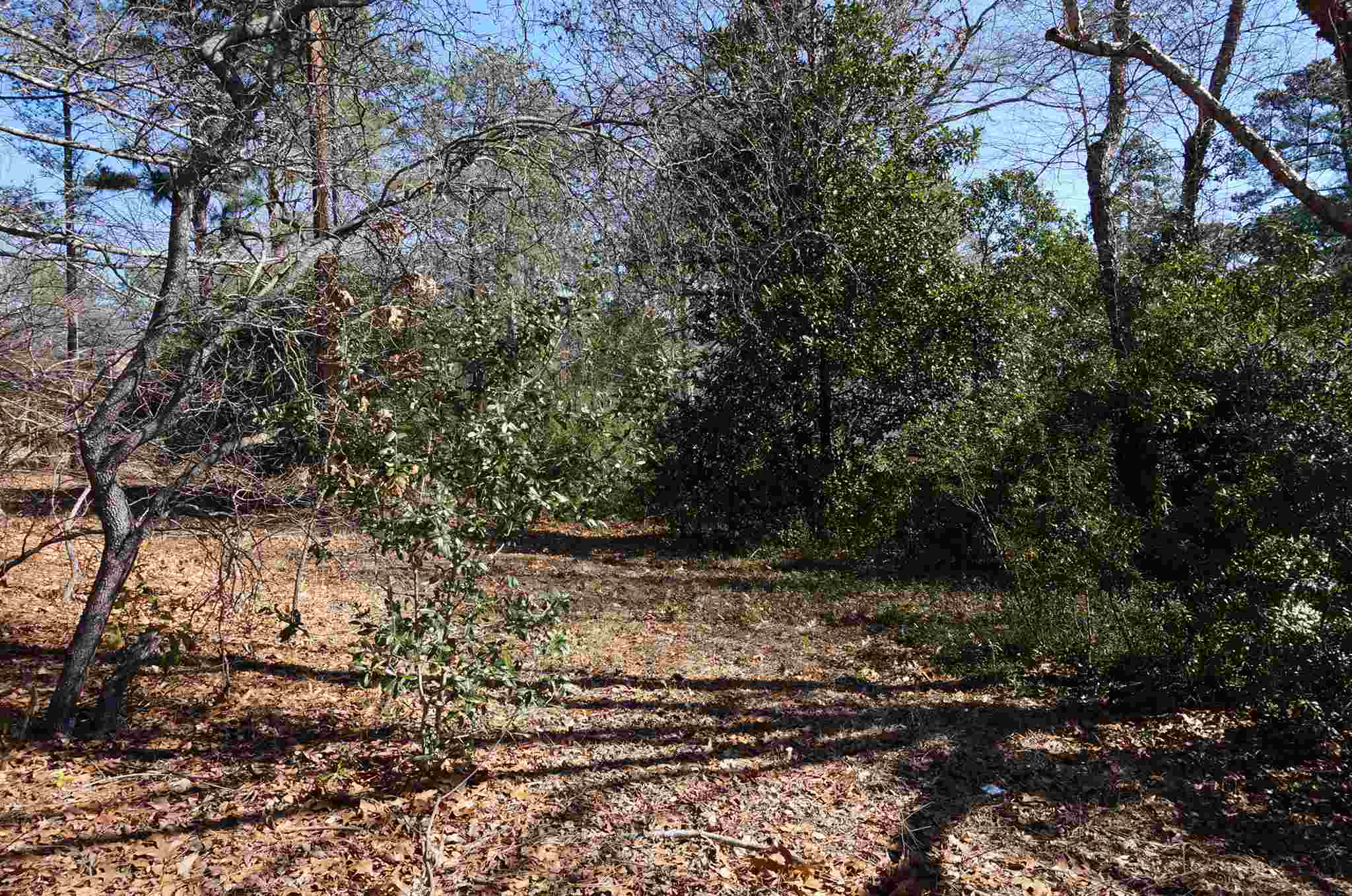 130 Southlake Court, Columbia, SC 29223