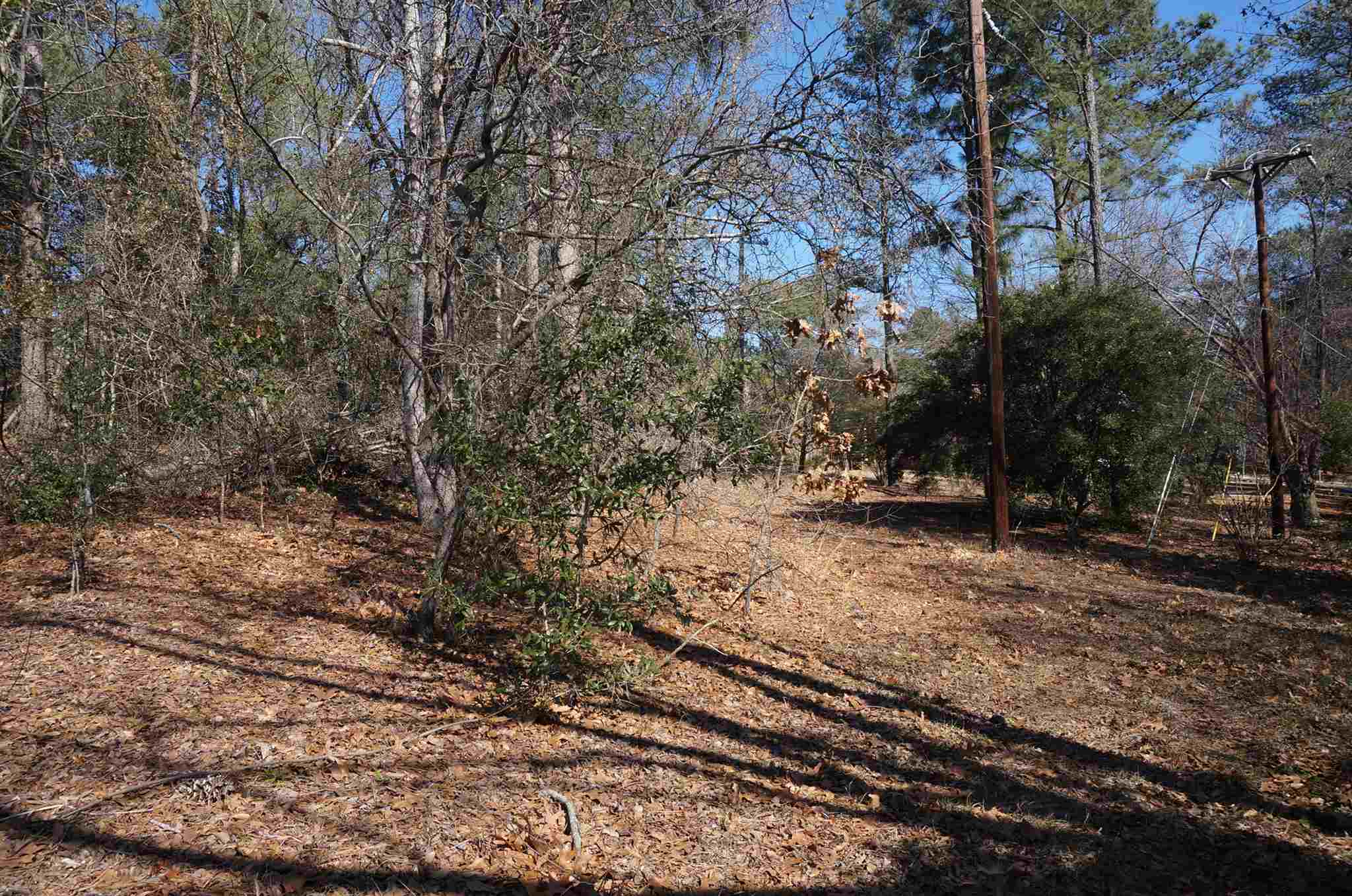 130 Southlake Court, Columbia, SC 29223