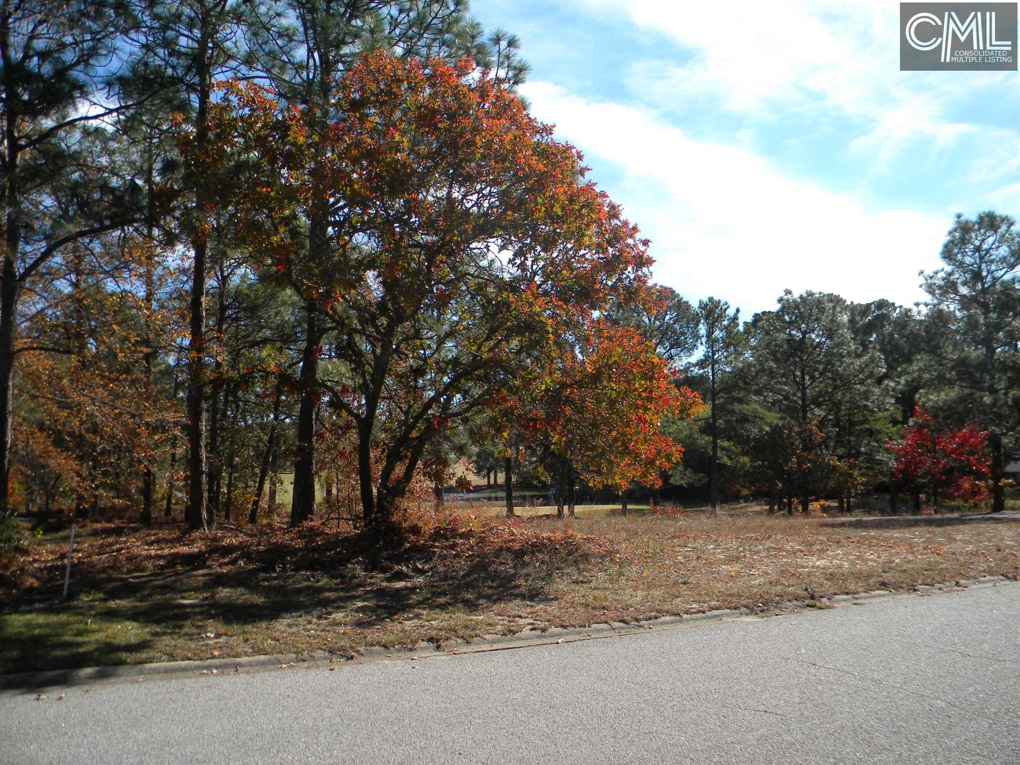 0 VIKING Drive, Columbia, SC 29229