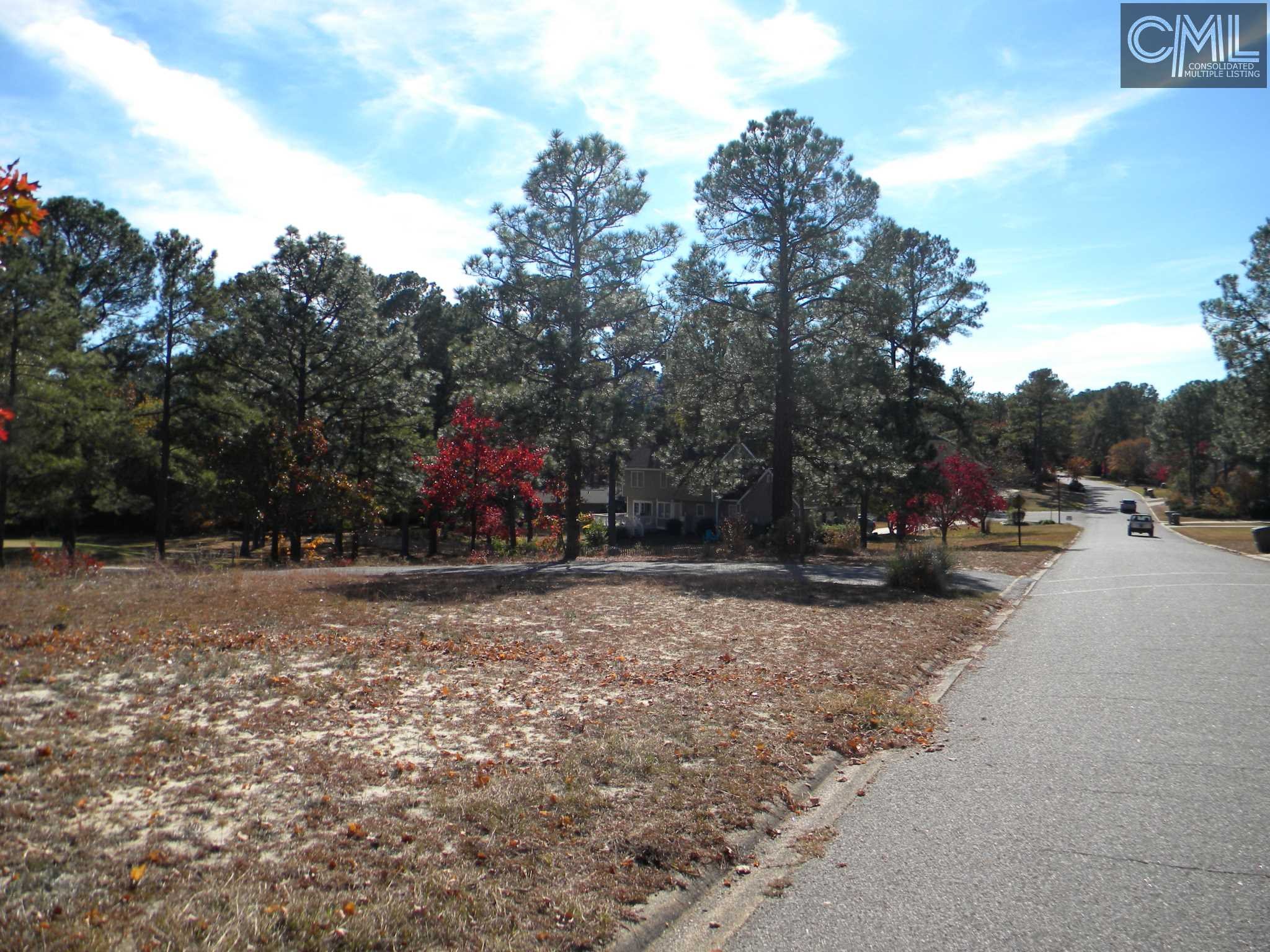 0 VIKING Drive, Columbia, SC 29229