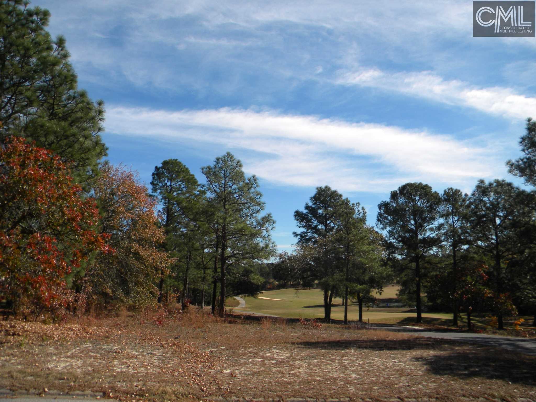0 VIKING Drive, Columbia, SC 29229