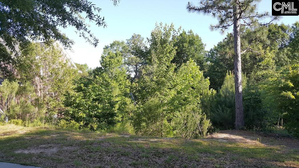 212 Lake Carolina Boulevard, Columbia, SC 29229