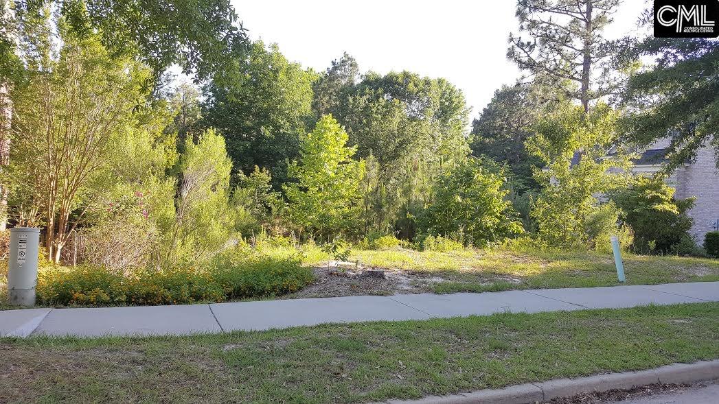 212 Lake Carolina Boulevard, Columbia, SC 29229