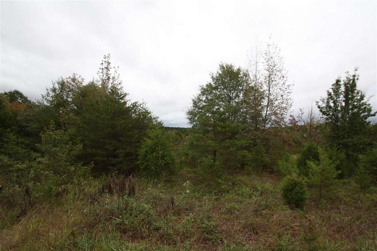 0 Highway 9, Campobello, SC 29322