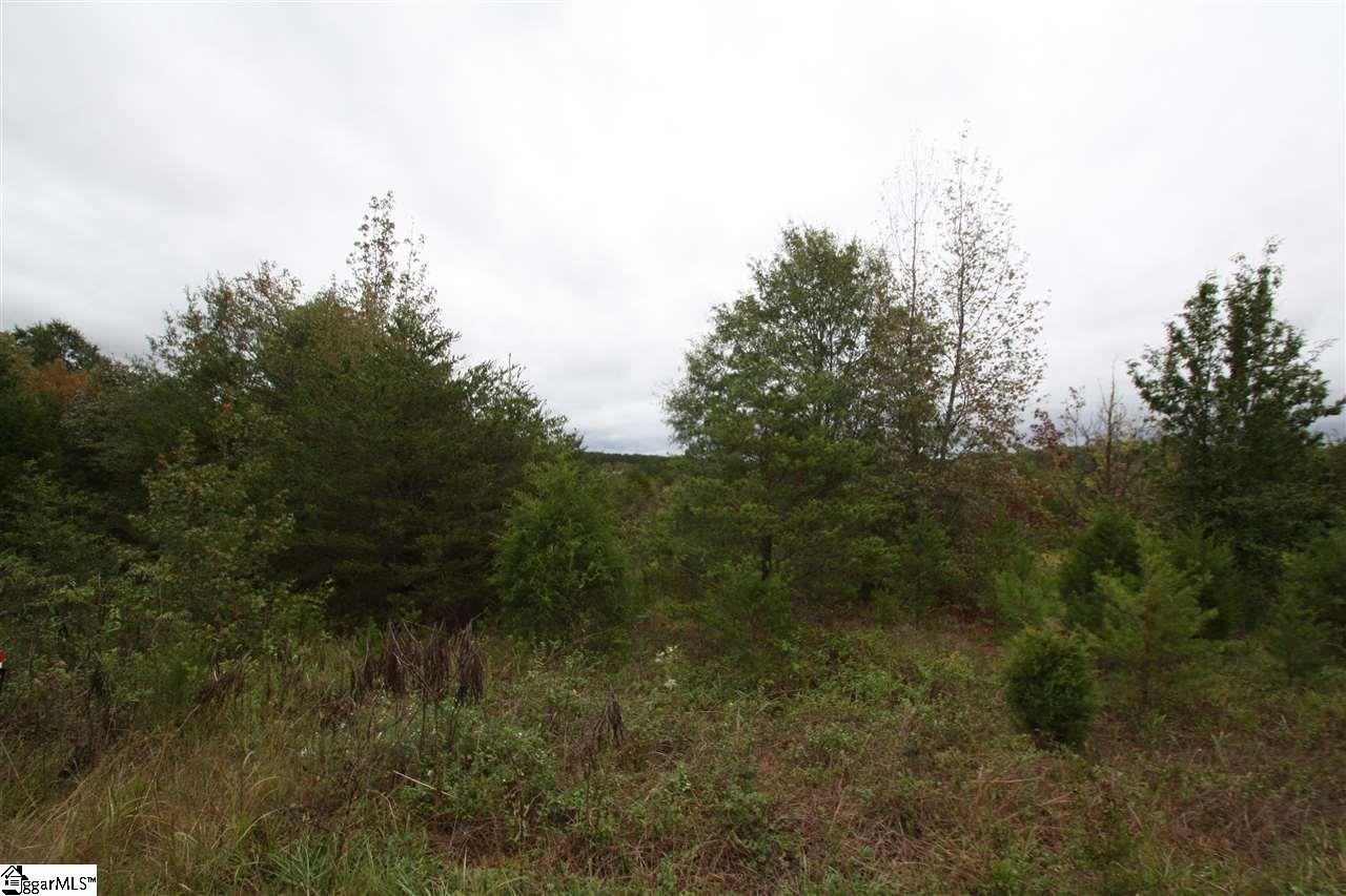 0 Highway 9, Campobello, SC 29322