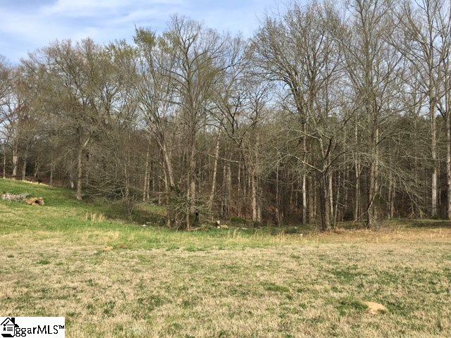 4695 72 Highway, Clinton, SC 29325