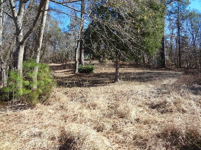 Lot7,8,9 Dovefield Rd., Greenwood, SC 29332
