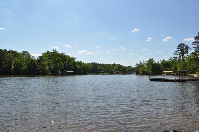 Lot 7 Flamingo Pt, Cross Hill, SC 29332