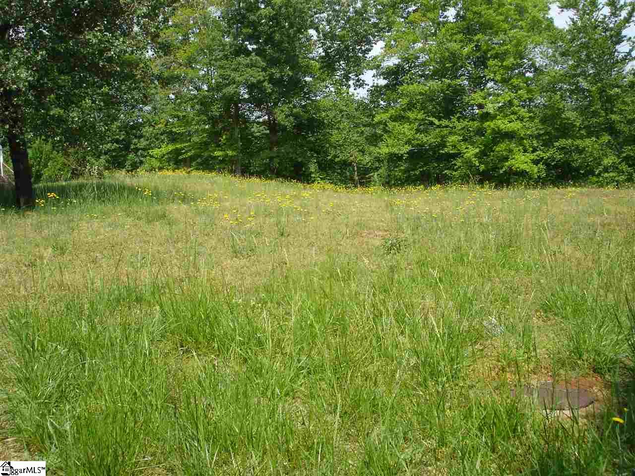 510 W Lakeview Drive, Duncan, SC 29334