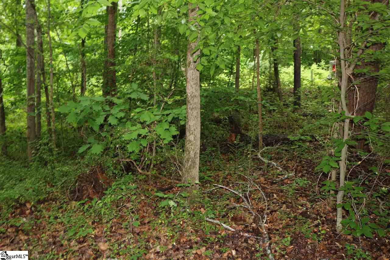 W Lakeview Drive, Duncan, SC 29334