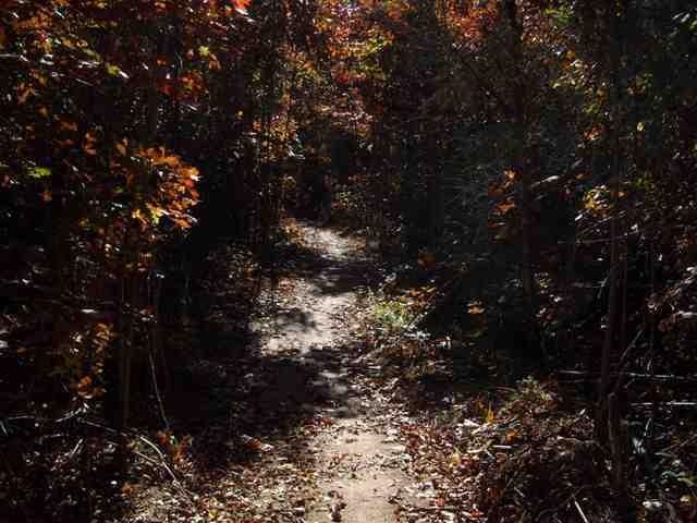 0 Fagan Dr., Inman, SC 29349