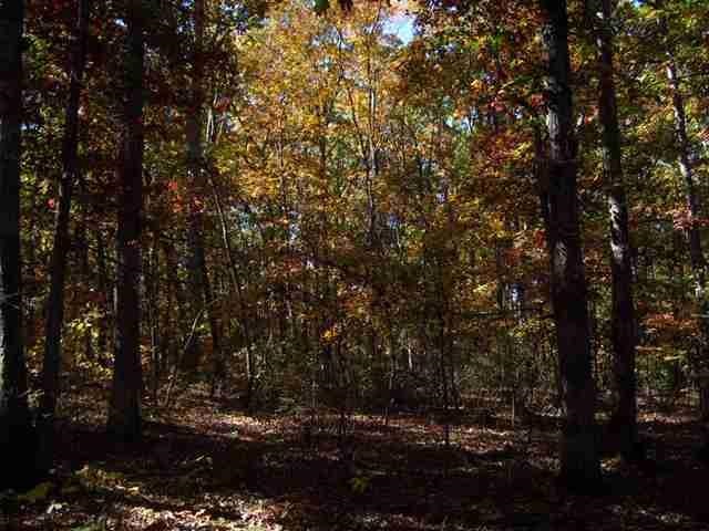 0 Fagan Dr., Inman, SC 29349