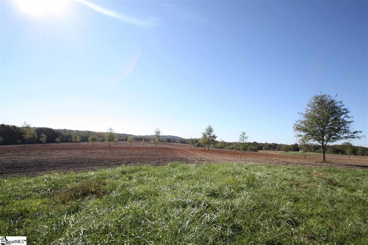 0 Hannon Road, Inman, SC 29349