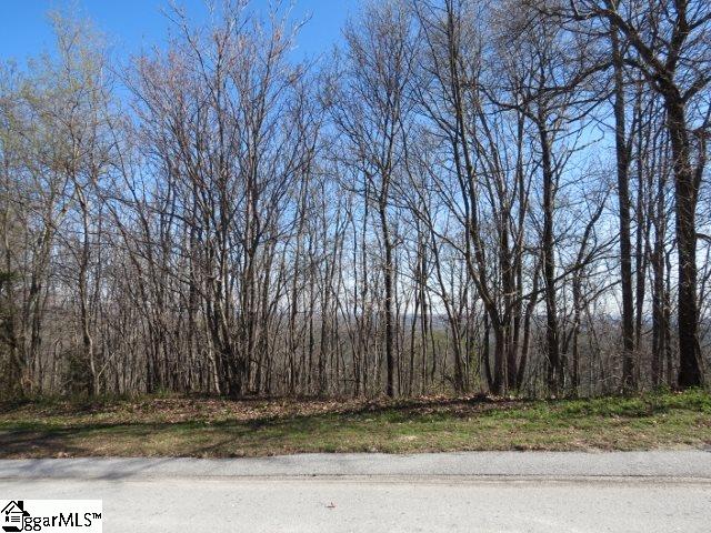 207 EAGLE ROCK Road, Landrum, SC 29356