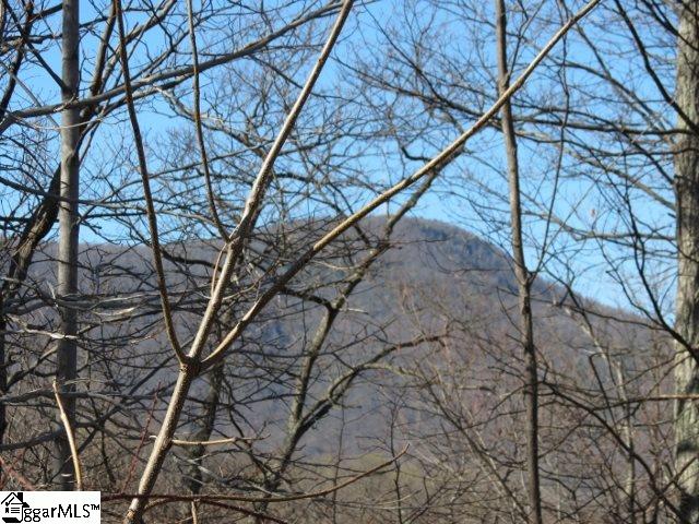207 EAGLE ROCK Road, Landrum, SC 29356