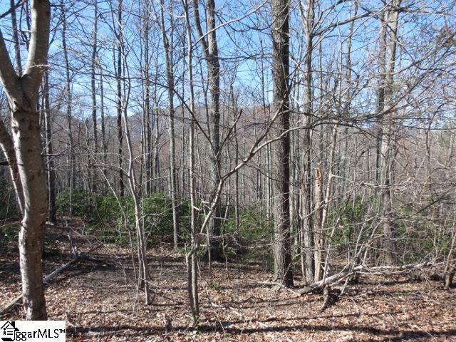 207 EAGLE ROCK Road, Landrum, SC 29356