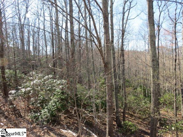 207 EAGLE ROCK Road, Landrum, SC 29356