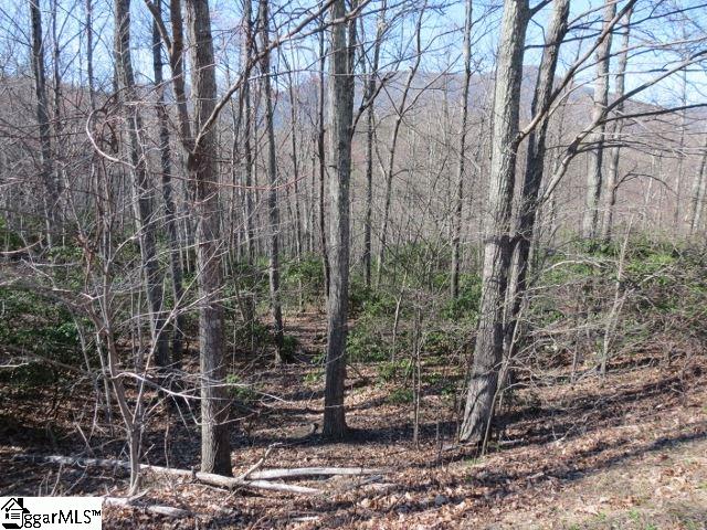 207 EAGLE ROCK Road, Landrum, SC 29356