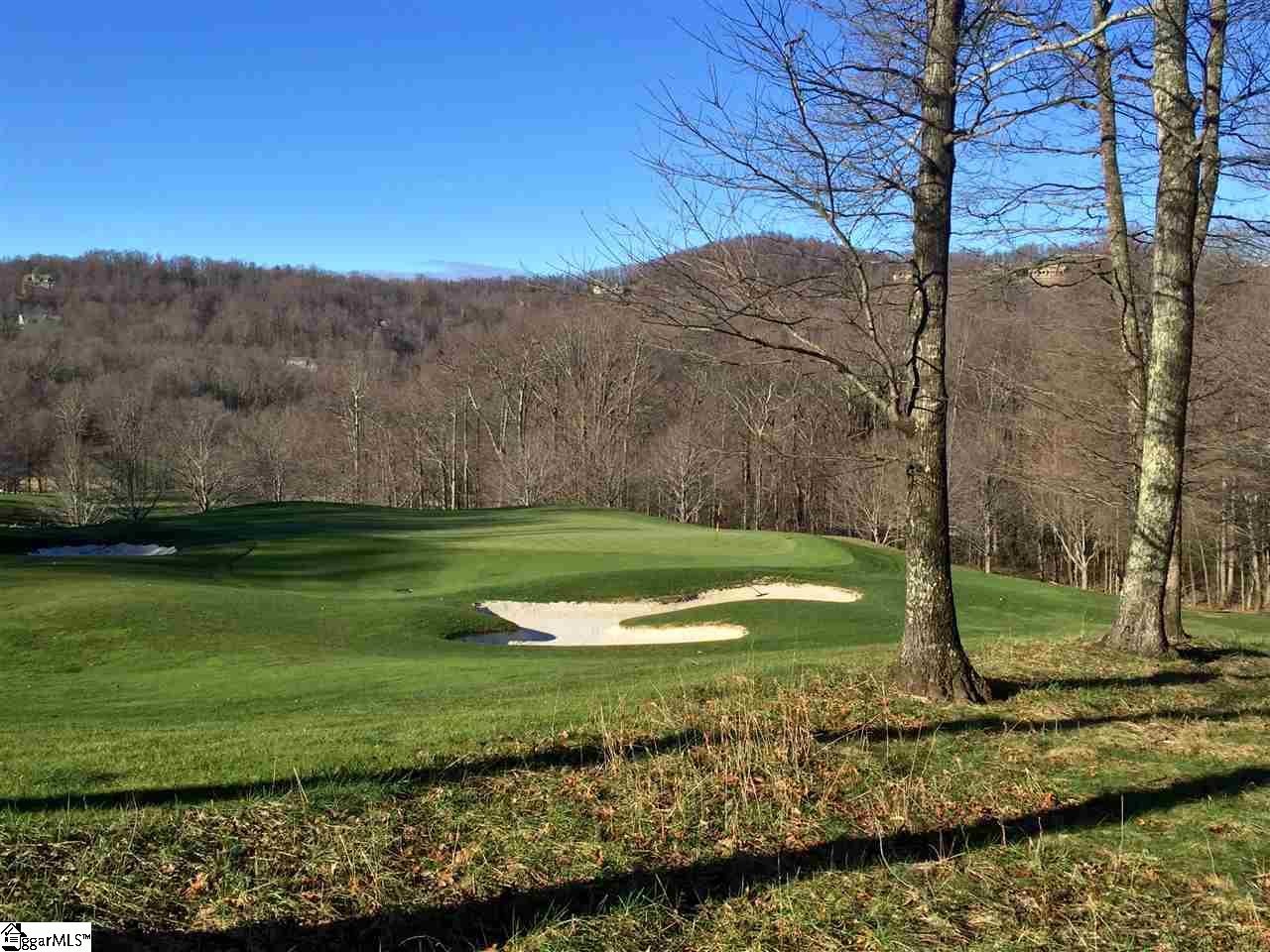 66 The Cliffs Parkway, Landrum, SC 29356