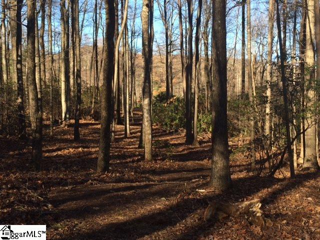 66 The Cliffs Parkway, Landrum, SC 29356