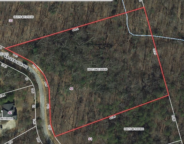 43 Angleblade Road, Landrum, SC 29356