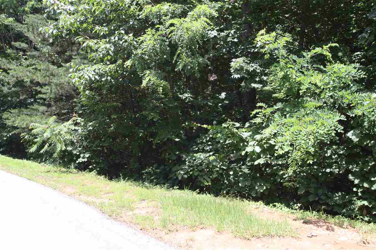 43 Angleblade Road, Landrum, SC 29356
