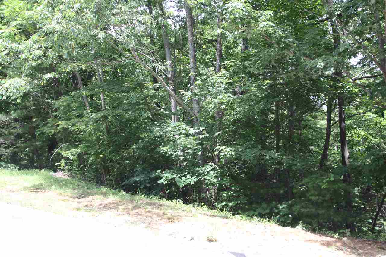 43 Angleblade Road, Landrum, SC 29356