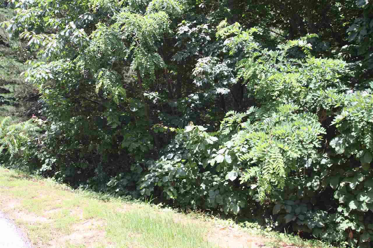 43 Angleblade Road, Landrum, SC 29356