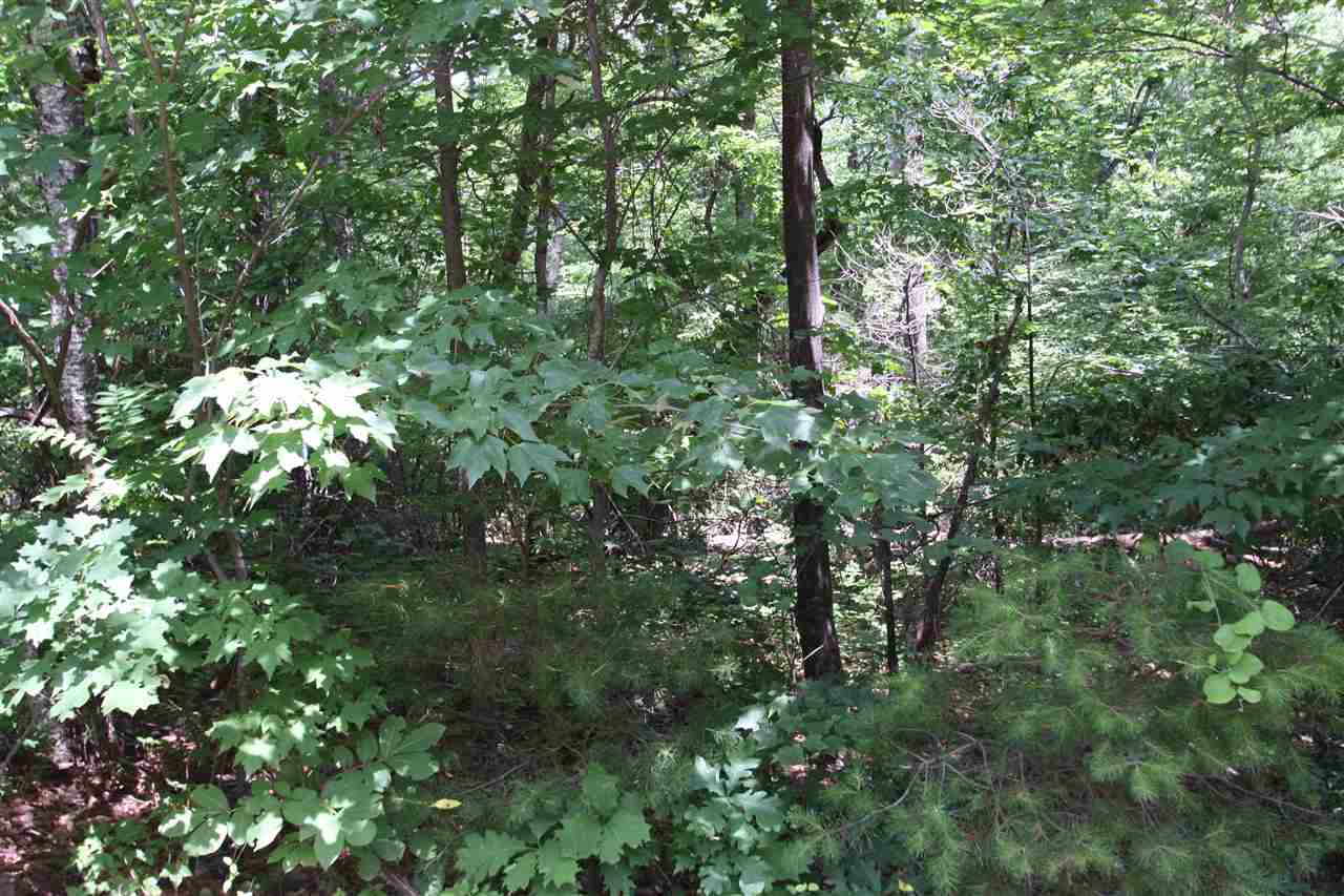 43 Angleblade Road, Landrum, SC 29356