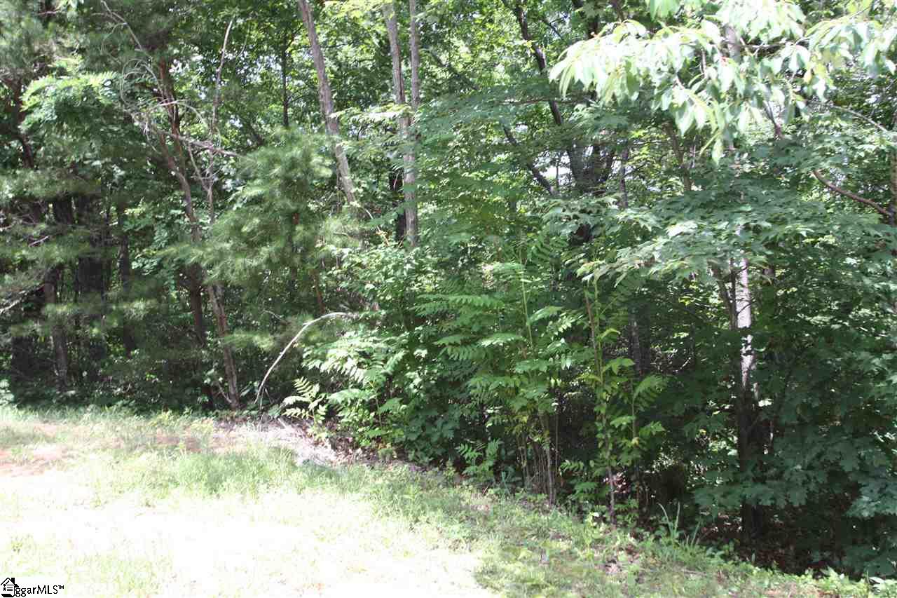 43 Angleblade Road, Landrum, SC 29356