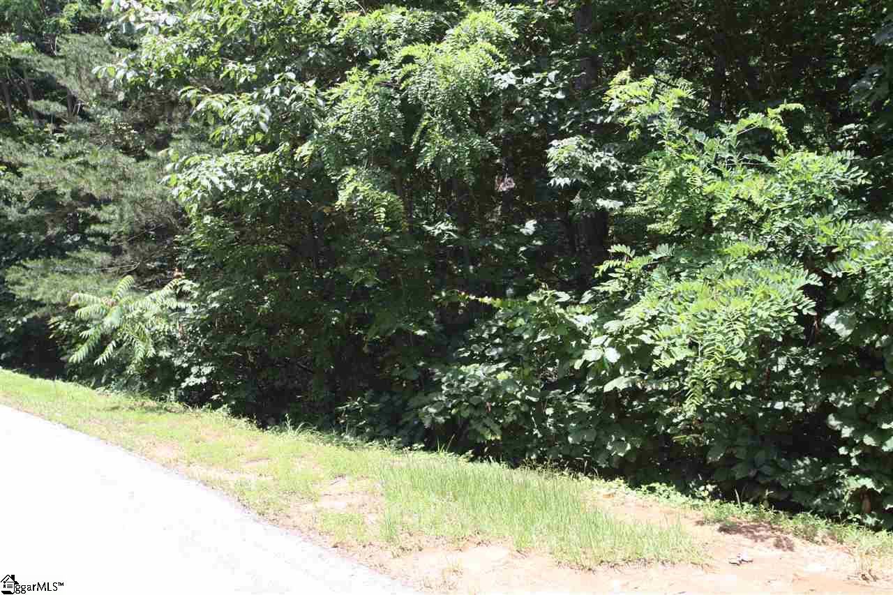 43 Angleblade Road, Landrum, SC 29356