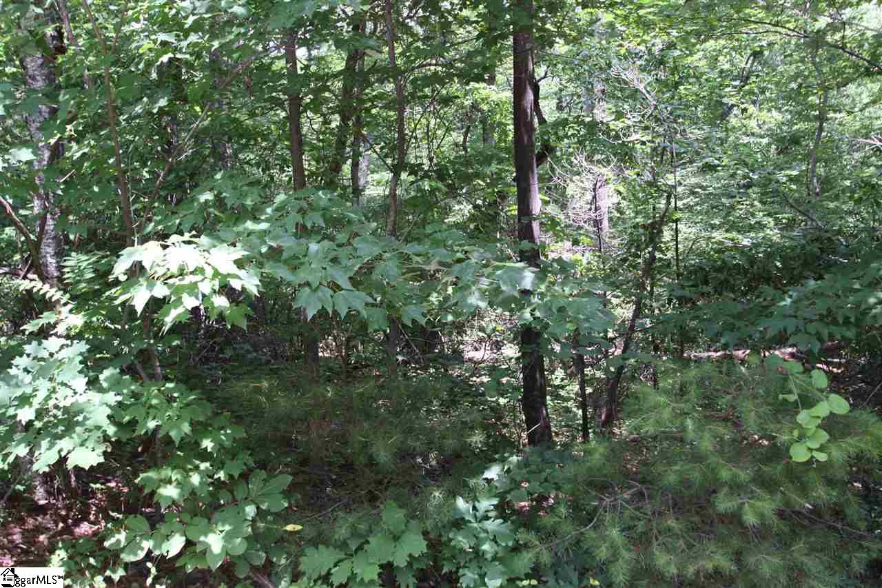 43 Angleblade Road, Landrum, SC 29356