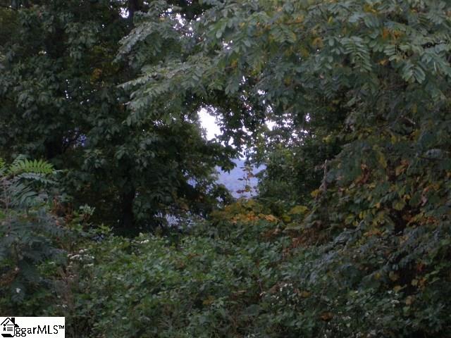 36 FOGGY CUT Lane, Landrum, SC 29356