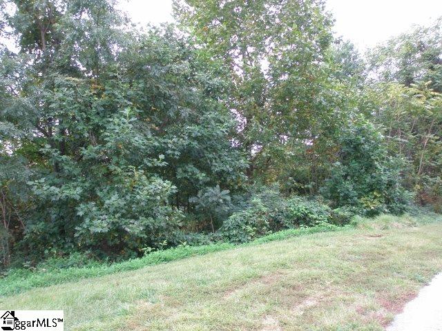 36 FOGGY CUT Lane, Landrum, SC 29356