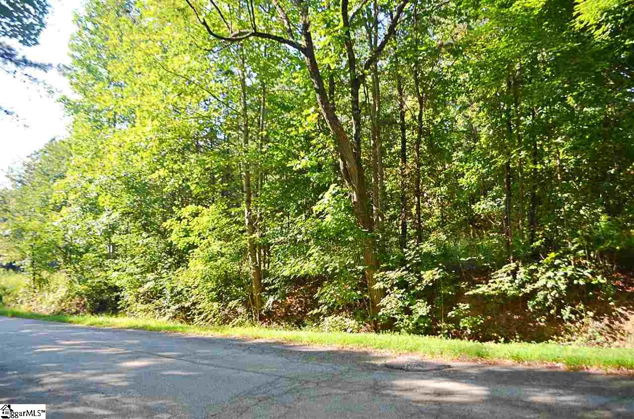 0 Lockhart Circle, Landrum, SC 29356