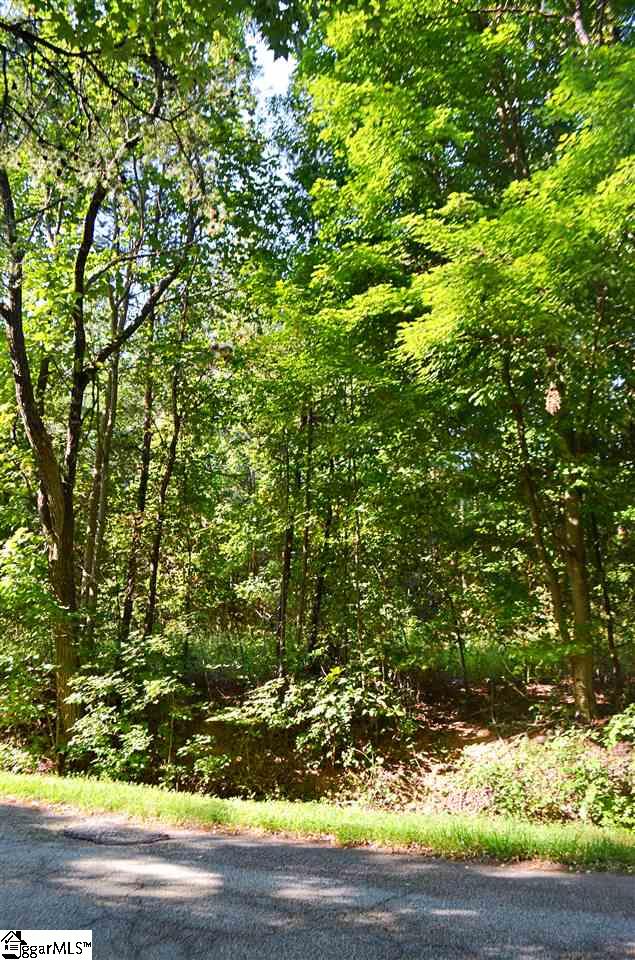 0 Lockhart Circle, Landrum, SC 29356