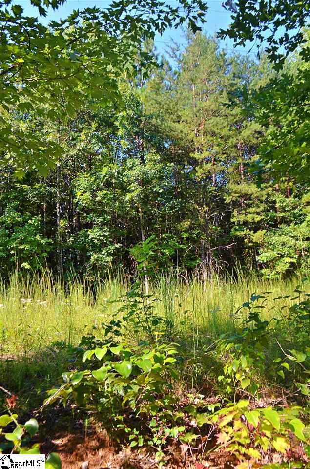 0 Lockhart Circle, Landrum, SC 29356