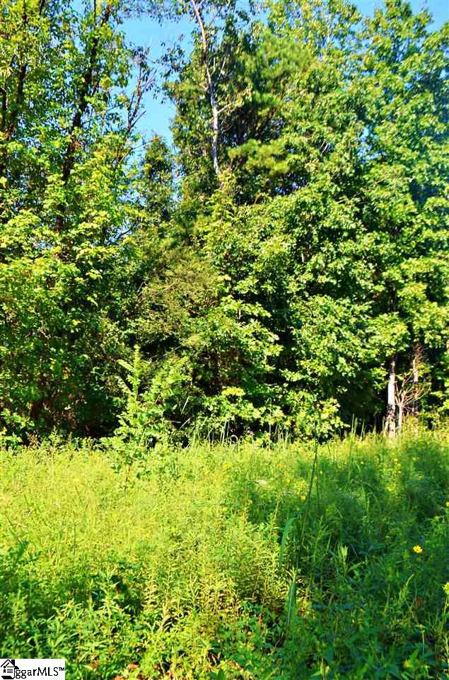 0 Lockhart Circle, Landrum, SC 29356