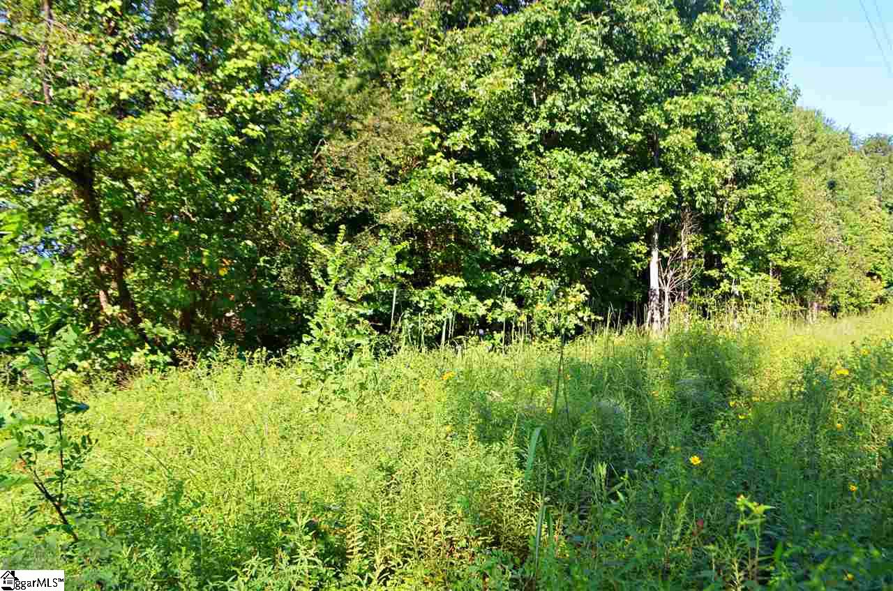 0 Lockhart Circle, Landrum, SC 29356