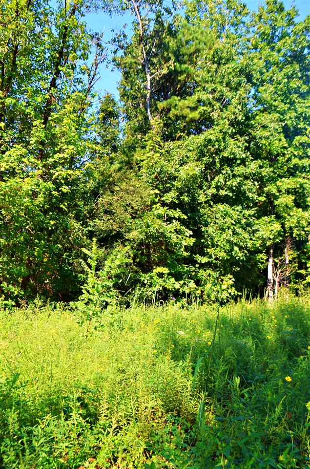 0 Lockhart Circle, Landrum, SC 29356