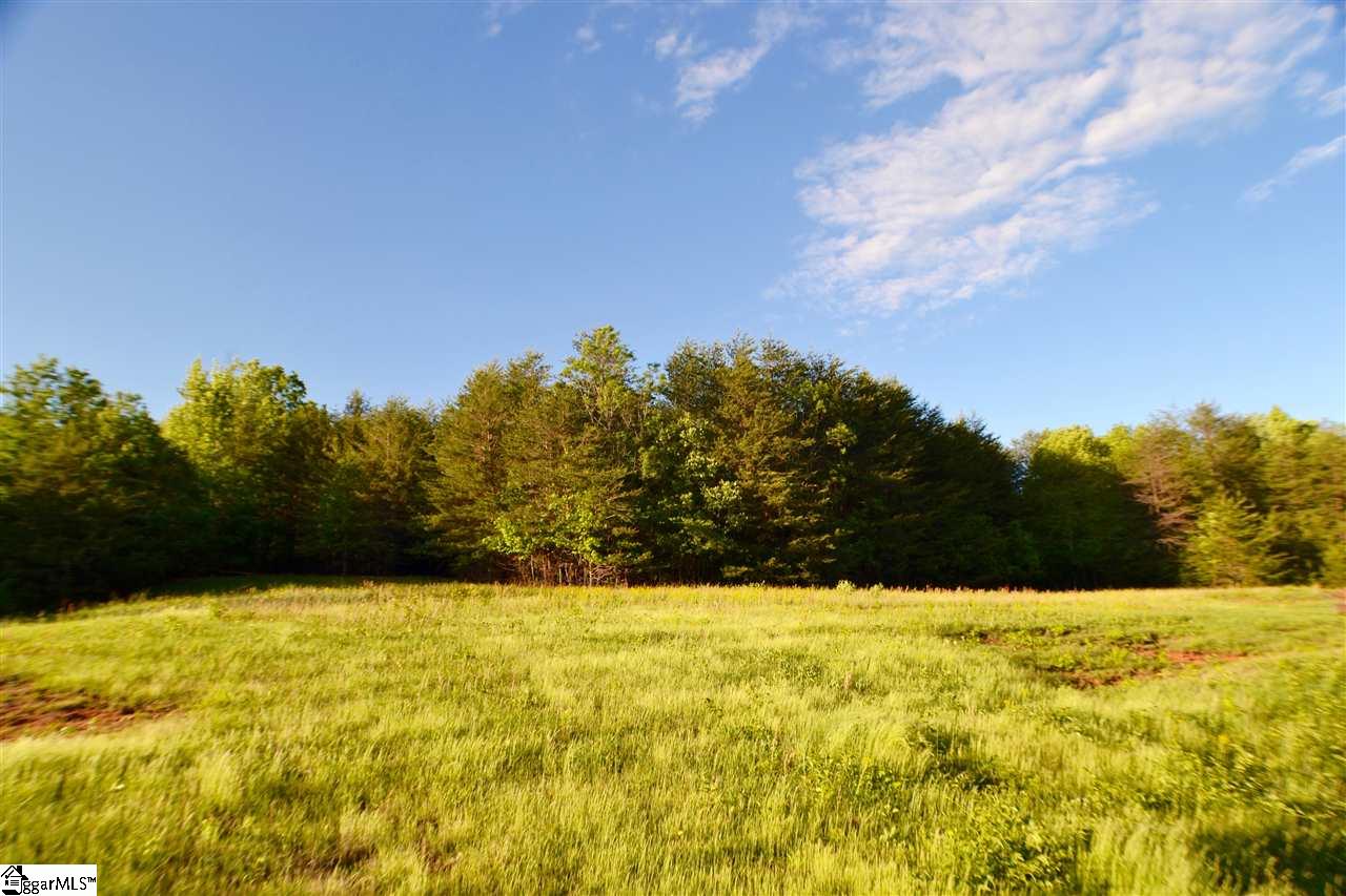 0 912 Highway, Landrum, SC 29356