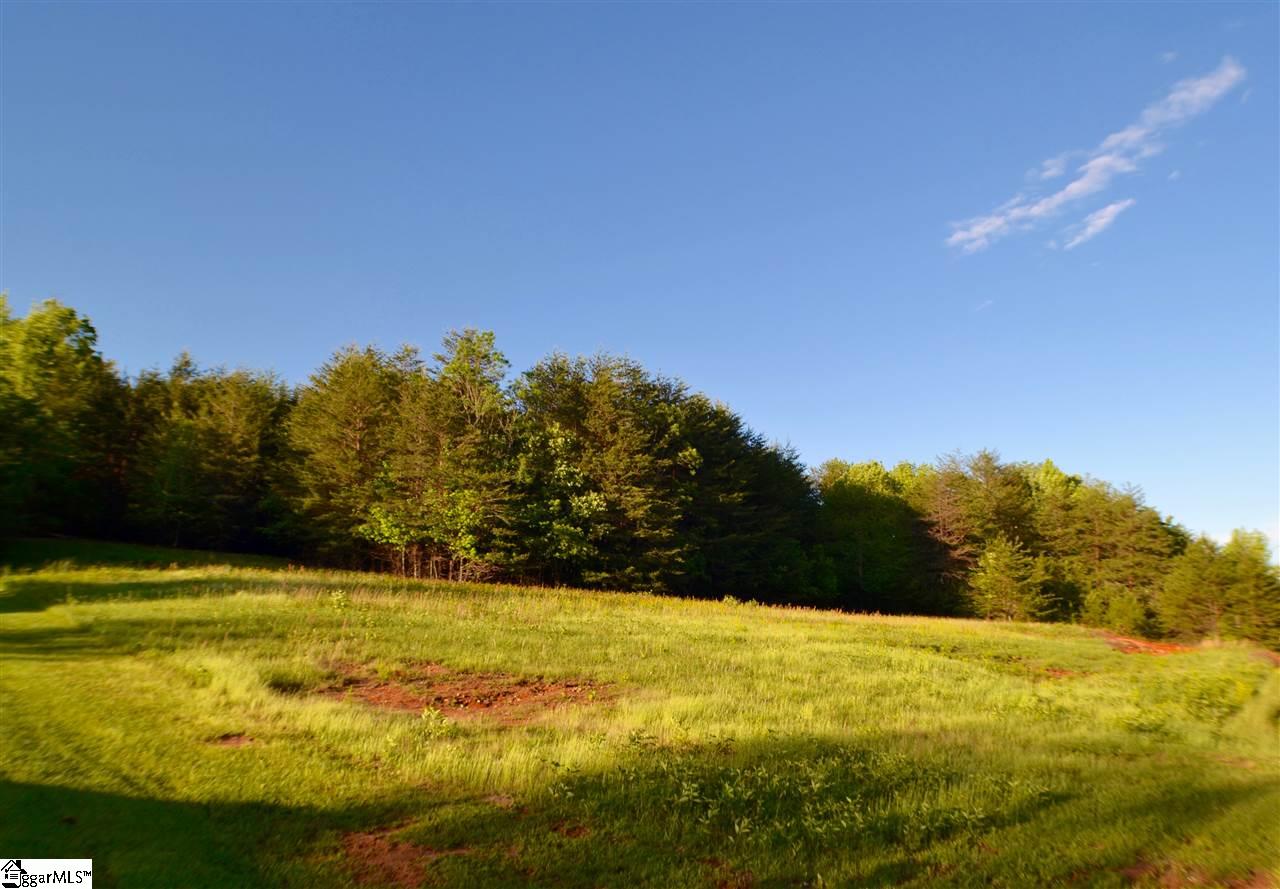 0 912 Highway, Landrum, SC 29356