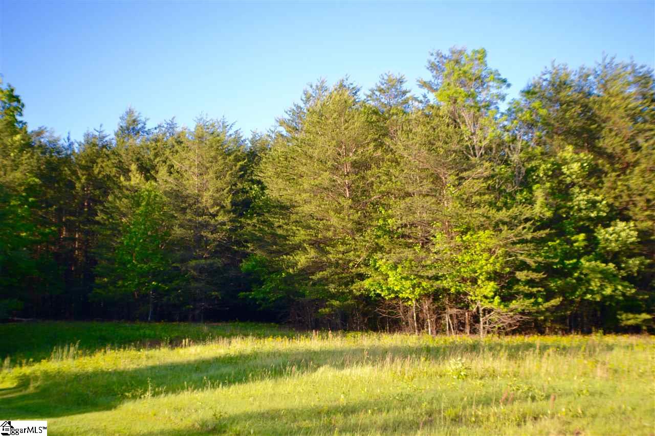 0 912 Highway, Landrum, SC 29356