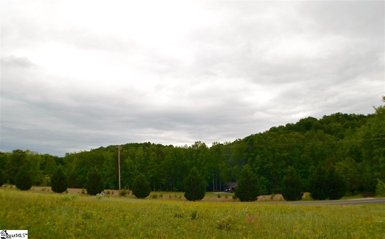 0 912 Highway, Landrum, SC 29356