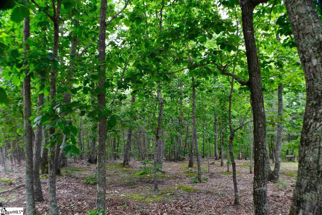 00 Red Hill Spur Road, Landrum, SC 29356