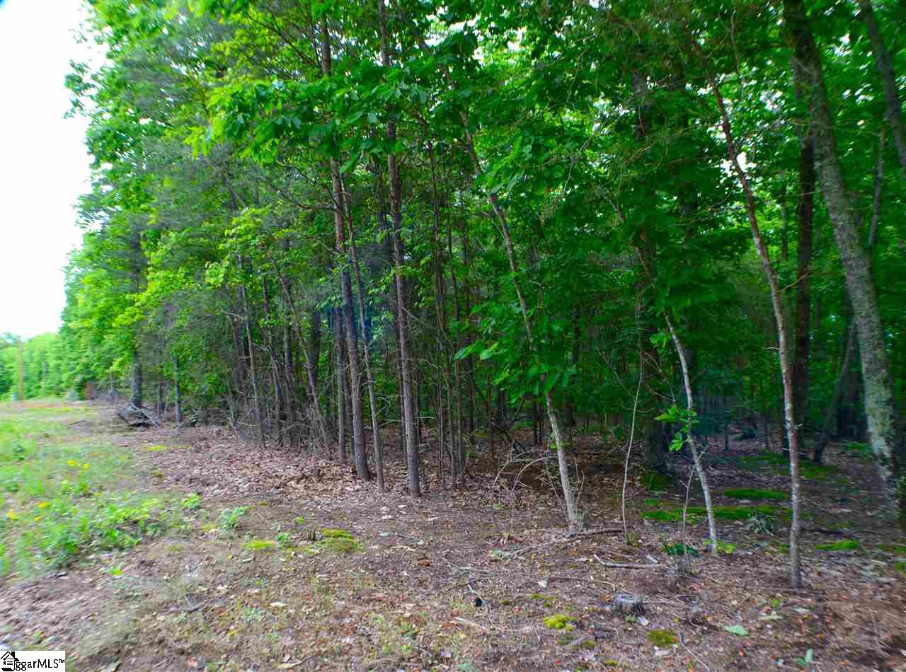0 Red Hill Spur Road, Landrum, SC 29356